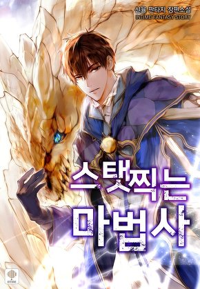 스탯 찍는 마법사 [단행본]