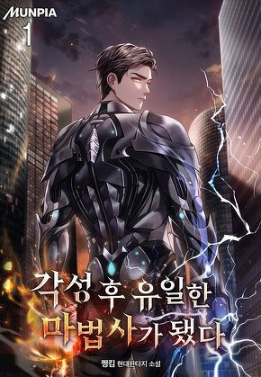 각성 후 유일한 마법사가 됐다 [단행본]