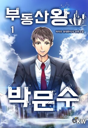 부동산왕 박문수 [단행본]