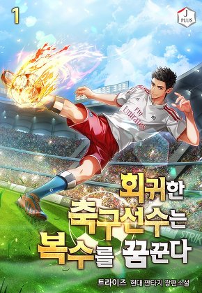 회귀한 축구선수는 복수를 꿈꾼다 [단행본]
