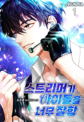 스트리머가 아이돌을 너무 잘함 [단행본]