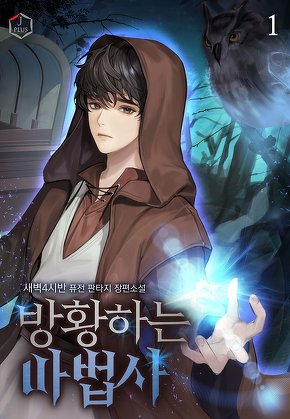 방황하는 마법사 [단행본]