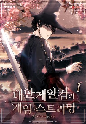 대한제일검의 게임 스트리밍 [단행본]