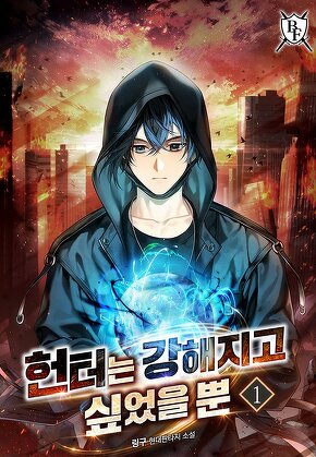 헌터는 강해지고 싶었을 뿐 [단행본]