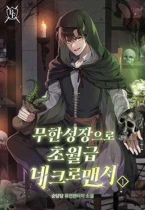 무한 성장으로 초월급 네크로맨서