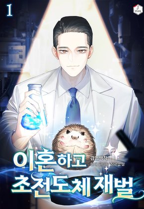 이혼하고 초전도체 재벌 [단행본]