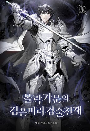 몰락가문의 검은머리 검술천재