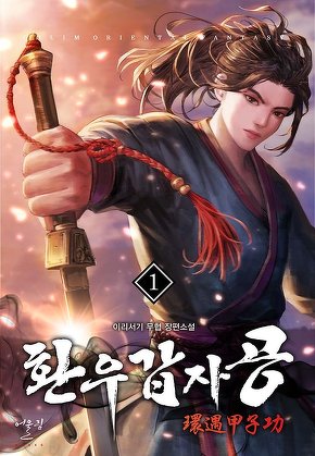 환우갑자공 [단행본]