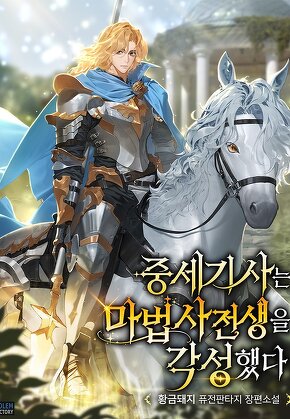 중세 기사는 마법사 전생을 각성했다