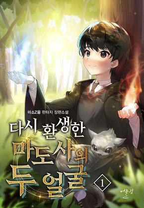 다시 환생한 마도사의 두 얼굴 [단행본]