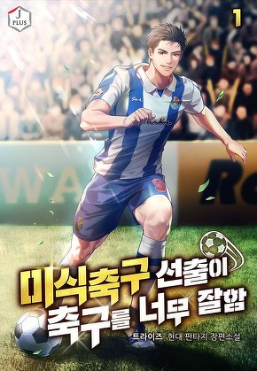 미식축구 선출이 축구를 너무 잘함 [단행본]