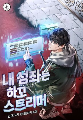 내 성좌는 하꼬 스트리머