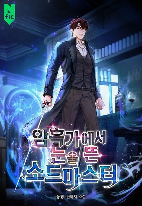 암흑가에서 눈을 뜬 소드마스터 [단행본]