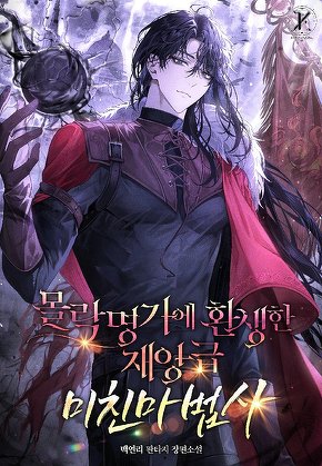 몰락명가에 환생한 재앙급 미친마법사