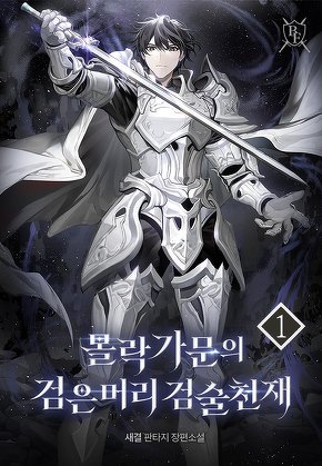몰락가문의 검은머리 검술천재 [단행본]