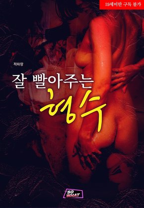 잘 빨아주는 형수