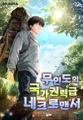 무인도의 국가권력급 네크로맨서 [단행본]