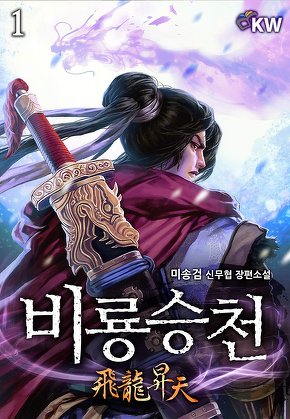 비룡승천(飛龍昇天) [단행본]