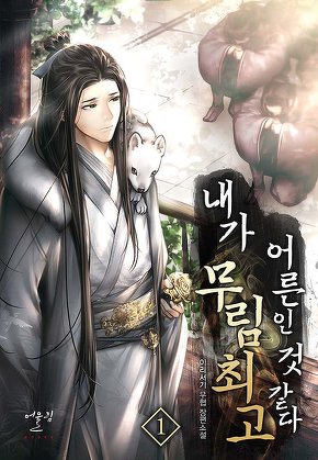 내가 무림 최고 어른인 것 같다 [단행본]