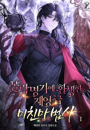 몰락명가에 환생한 재앙급 미친마법사 [단행본]