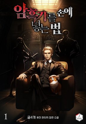 암흑가를 손에 넣는 법 [단행본]