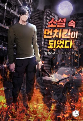 소설 속 먼치킨이 되었다 [단행본]