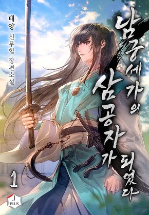 남궁세가의 삼 공자가 되었다 [단행본]