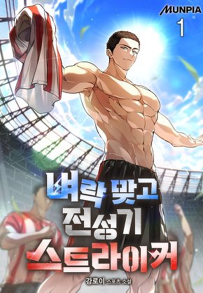 벼락 맞고 전성기 스트라이커 [단행본]