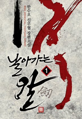 날아가는 칼 [단행본]