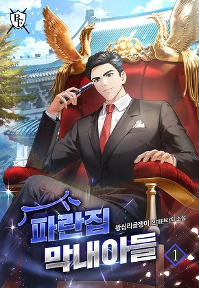 파란집 막내아들 [단행본]