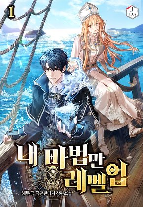 내 마법만 레벨업 [단행본]