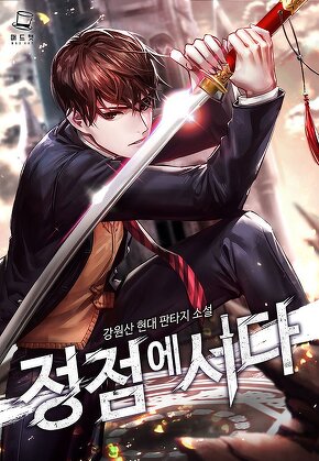 정점에 서다 [단행본]
